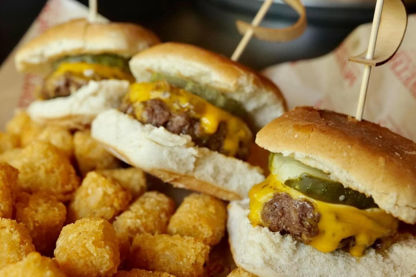 KING OF THE CASTLE SLIDERS